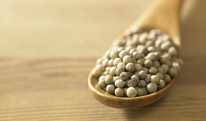 A people focused approach to developing Tanjung Manis Halal Hub