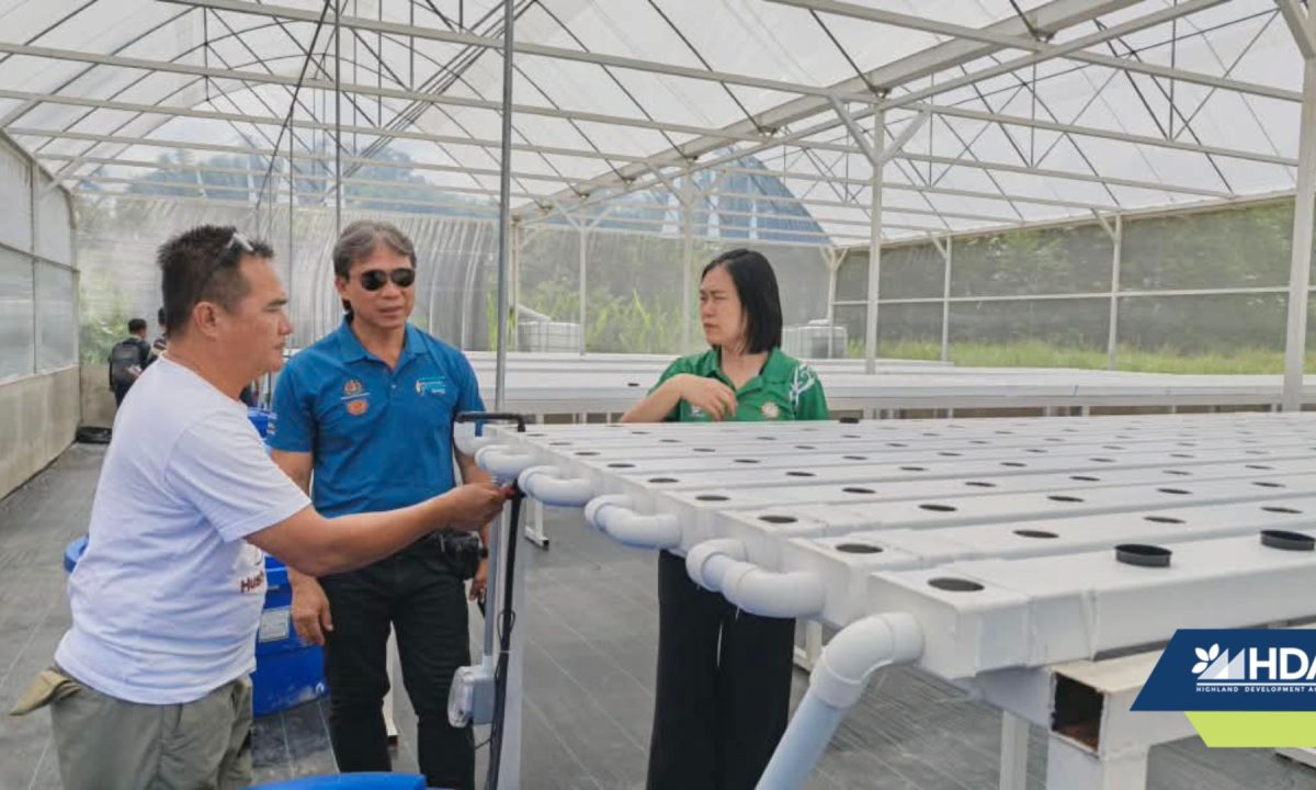 RECODA Completes Facility Construction for Hydroponic Farming Project in Mulu