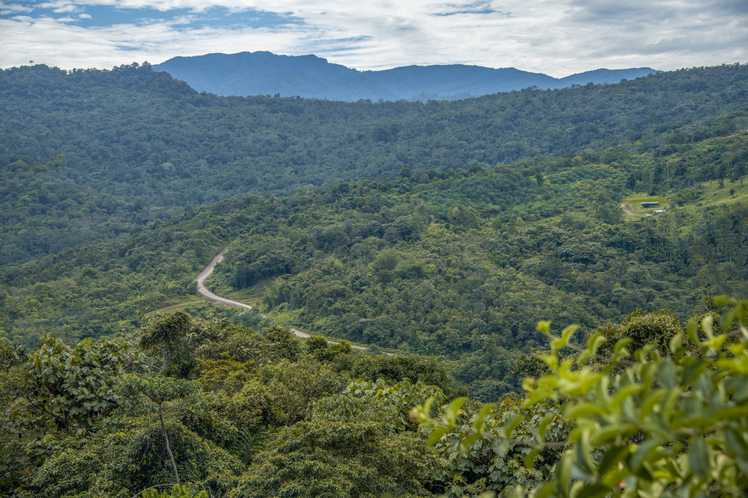 SARAWAK CORRIDOR OF RENEWABLE ENERGY