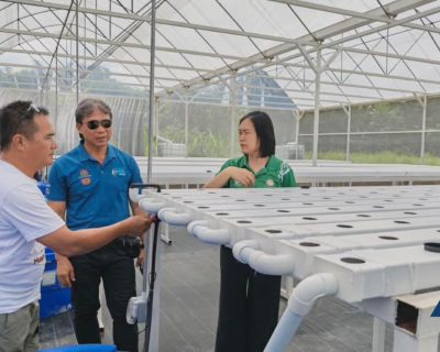 RECODA Completes Facility Construction for Hydroponic Farming Project in Mulu